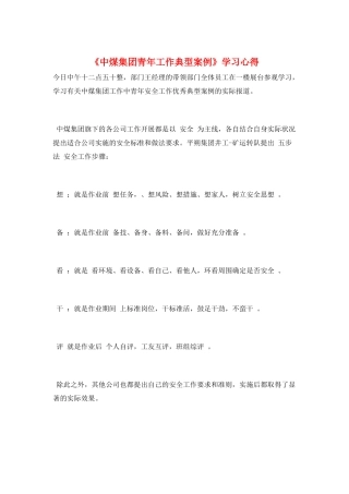 《中煤集团青年工作典型案例》学习心得
