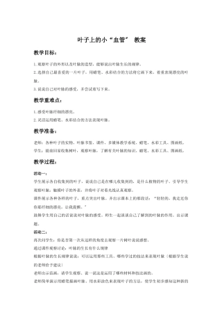 《叶子上的小“血管”》教案1