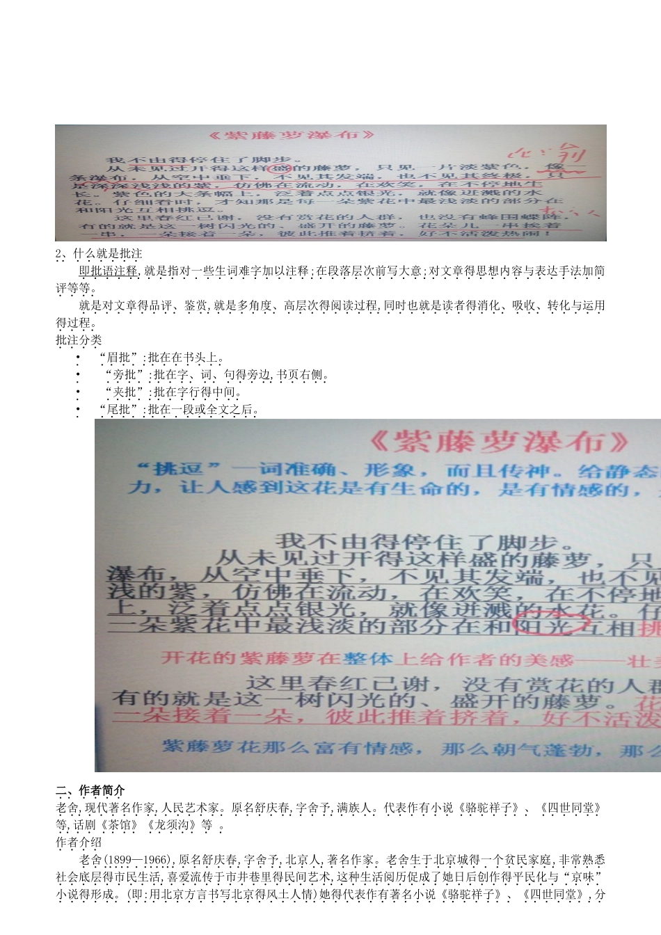《名著导读 〈骆驼祥子〉圈点与批注》教案_第2页