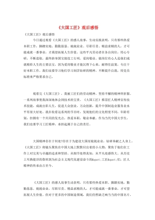 《大国工匠》观后感悟