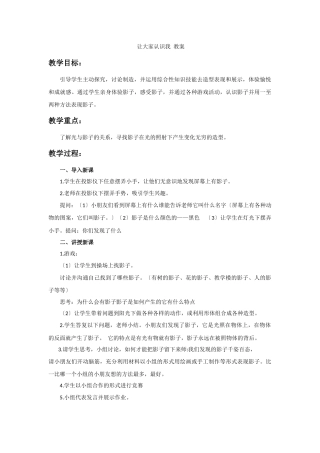 《影子的游戏》教案3