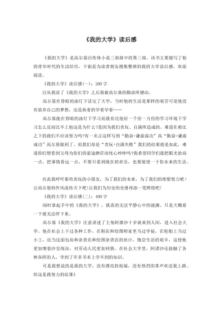 《我的大学》读后感