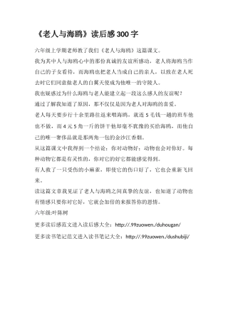 《老人与海鸥》读后感300字