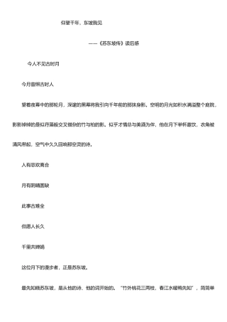 《苏东坡传》读后感--个人原创