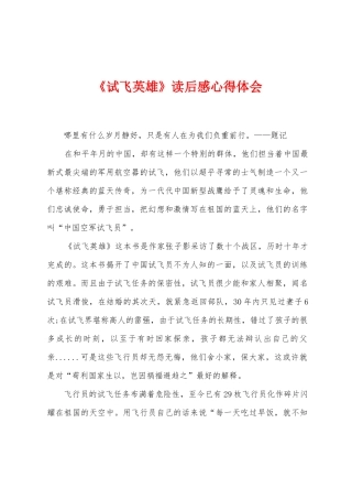 《试飞英雄》读后感心得体会