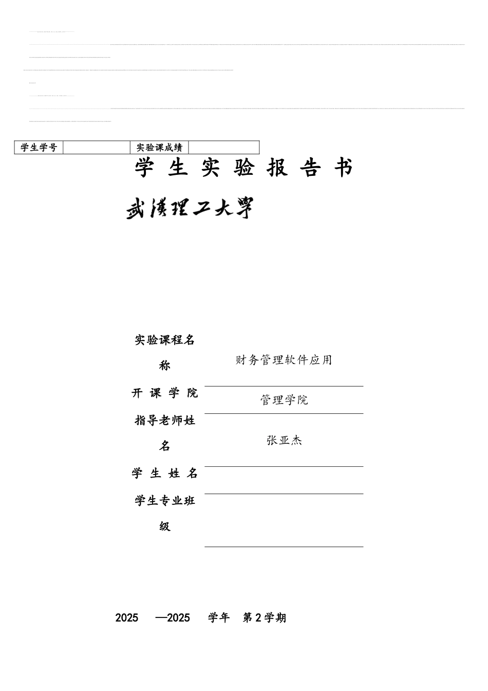 《财务管理软件应用》实验报告书模板2025_第1页