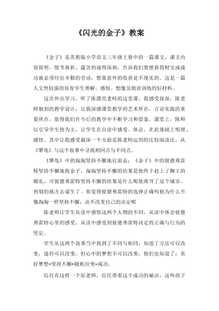 《闪光的金子》教案