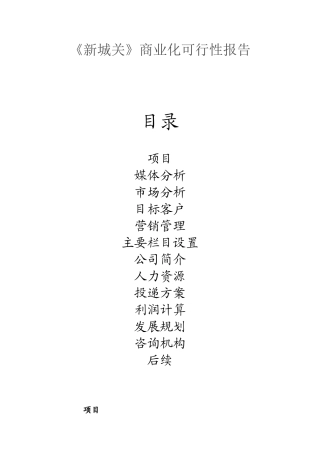 《新城关》商业化可行性报告