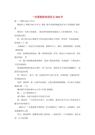 一次勇敢的尝试作文300字