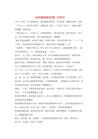 一次失败的经历-第二天作文