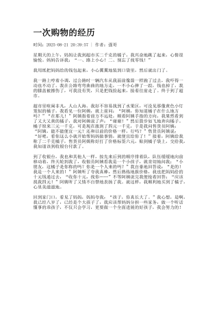 一次购物的经历