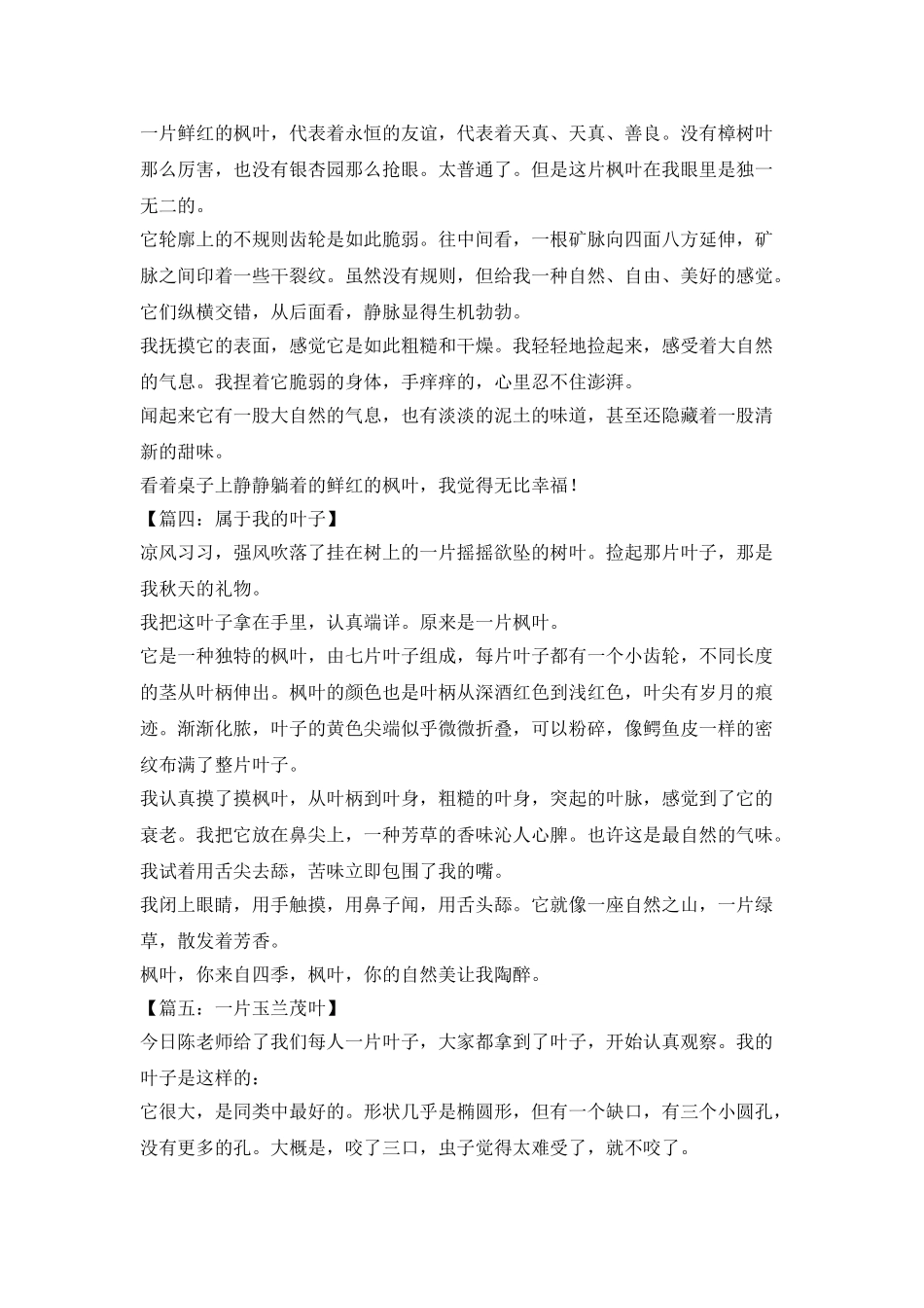 一片叶子写的300字_第2页