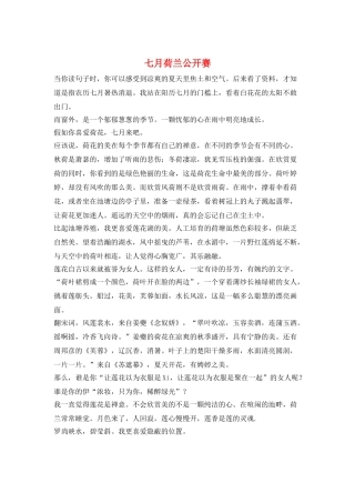 七月荷兰公开赛