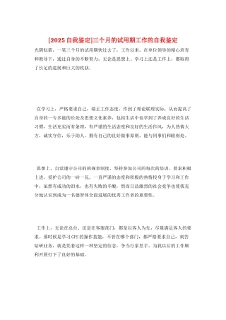三个月的试用期工作的自我鉴定