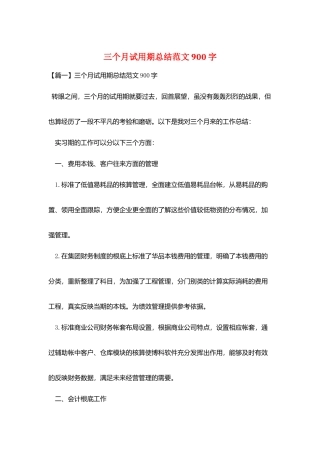 三个月试用期总结范文900字
