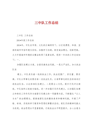 三中队工作总结