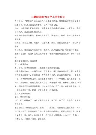三篇精选的250字小学生作文
