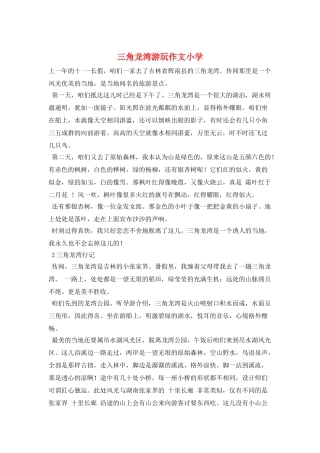 三角龙湾游玩作文小学