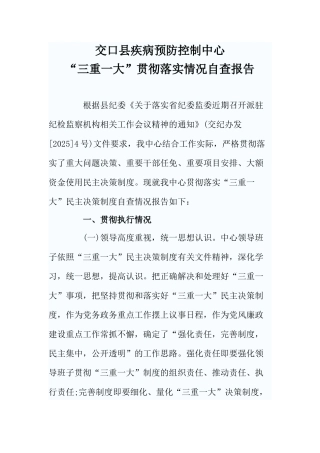 三重一大贯彻落实情况自查报告