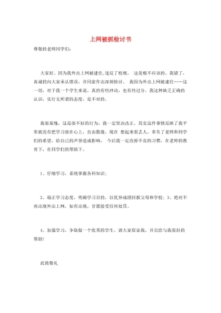 上网被抓检讨书