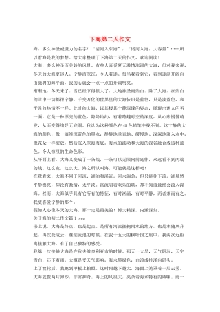 下海第二天作文