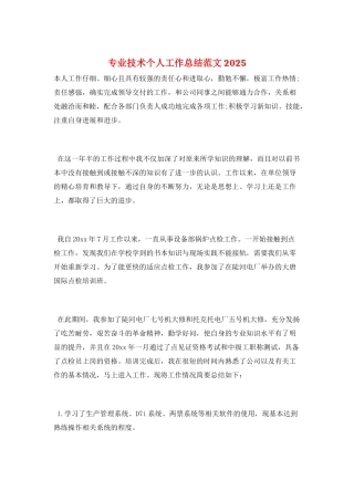 专业技术个人工作总结范文2025