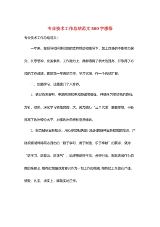 专业技术工作总结范文500字感悟