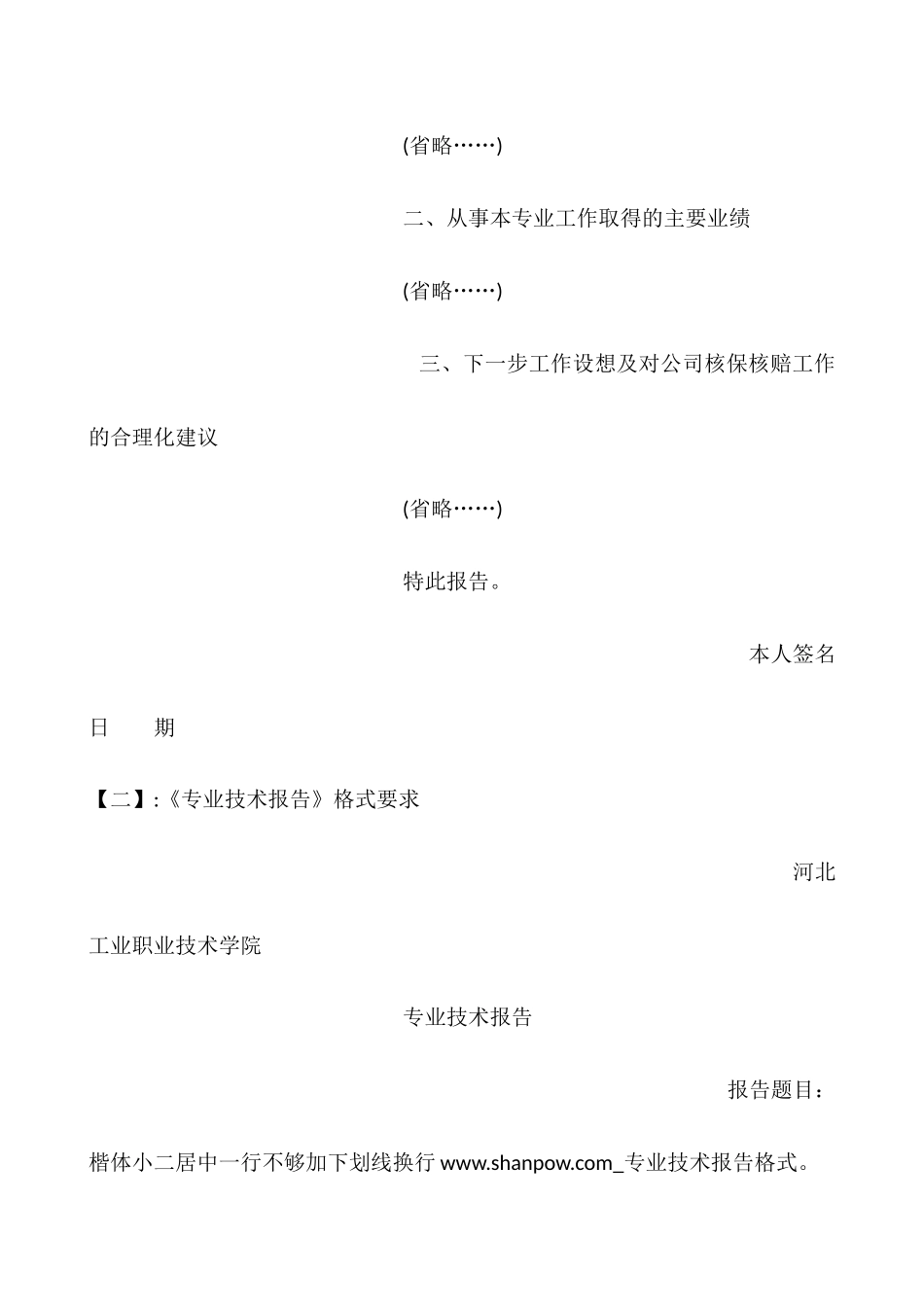 专业技术报告格式_第2页