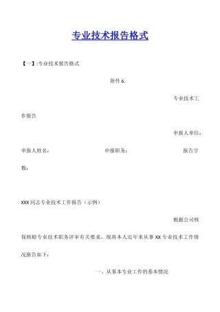 专业技术报告格式