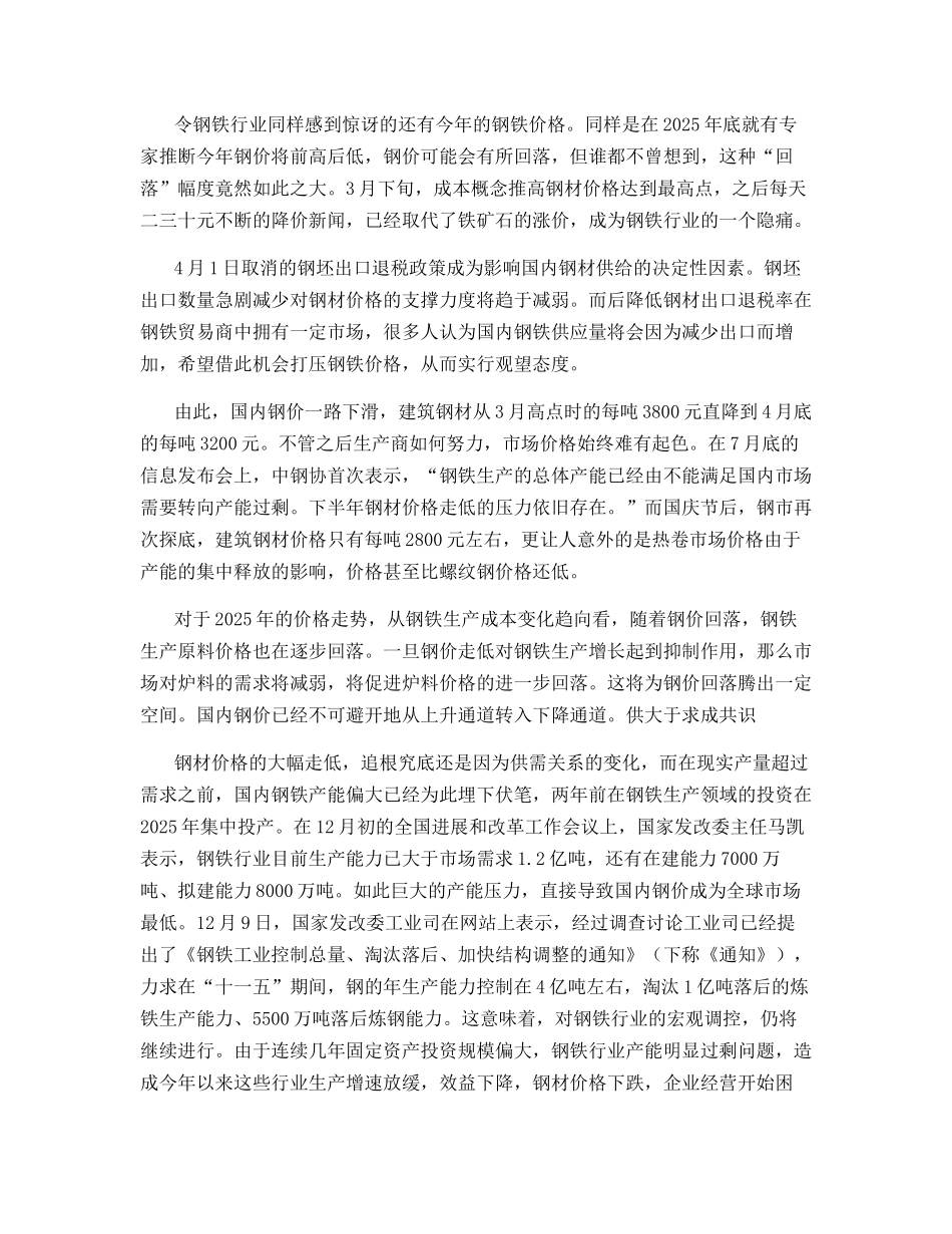 专家盘点：2025年钢铁产业走势纵览_第2页