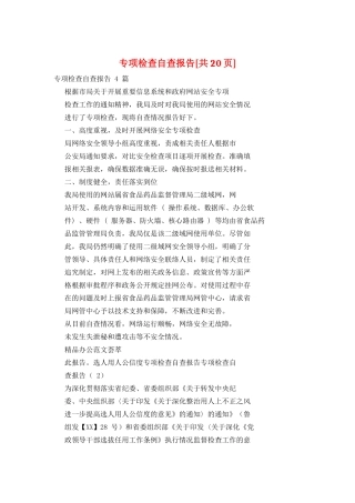 专项检查自查报告