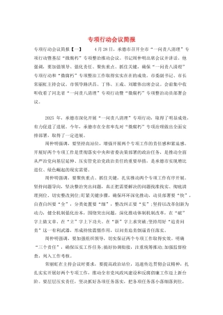 专项行动会议简报