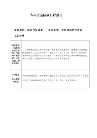 专项资金绩效自评报告 