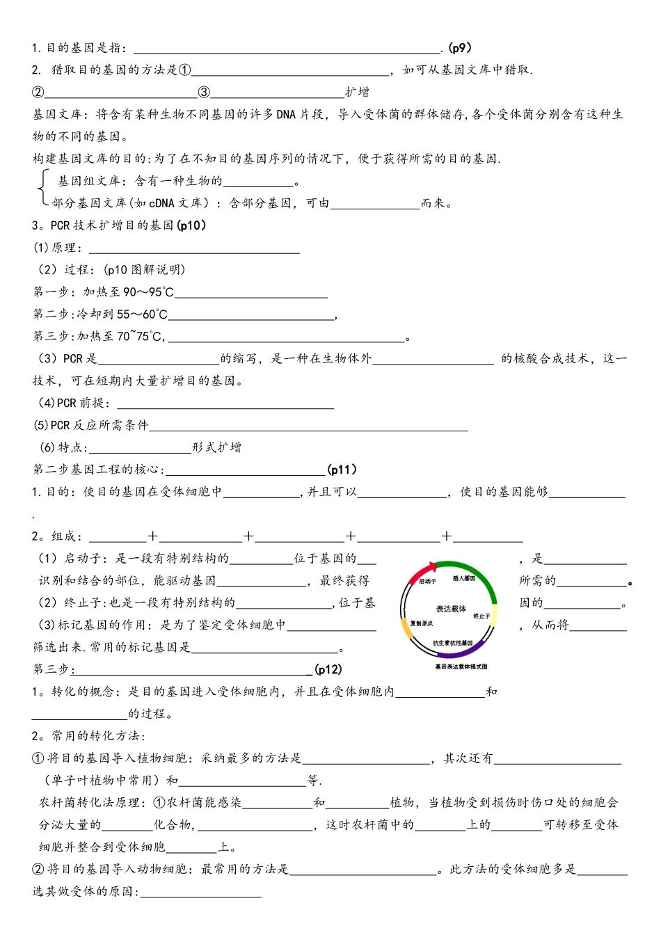 专题一基因工程专题复习_第2页
