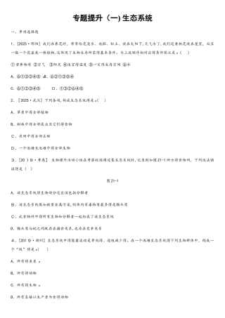 专题提升01　生态系统