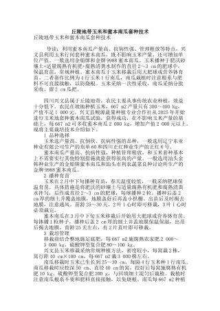 丘陵地带玉米和蜜本南瓜套种技术