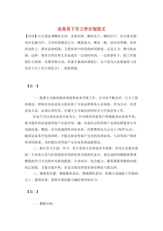 业务员下月工作计划范文
