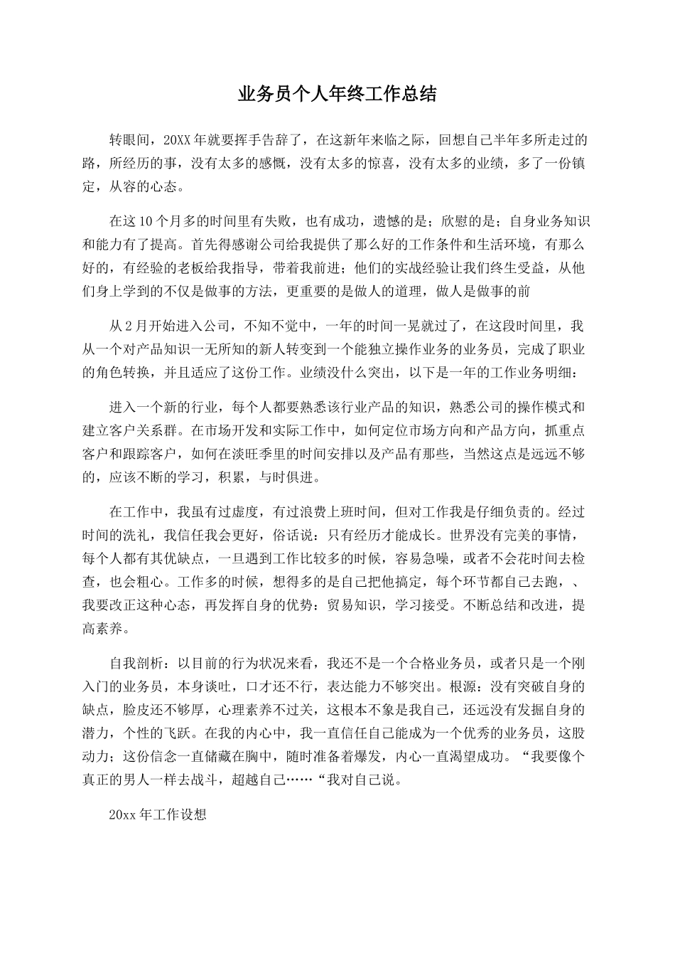业务员个人年终工作总结_第1页