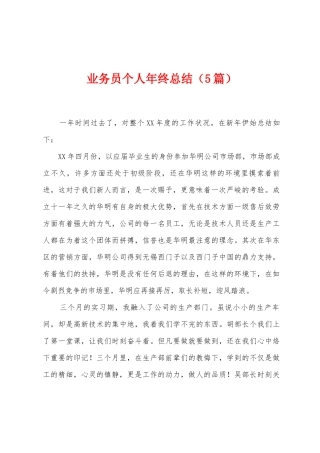 业务员个人年终总结