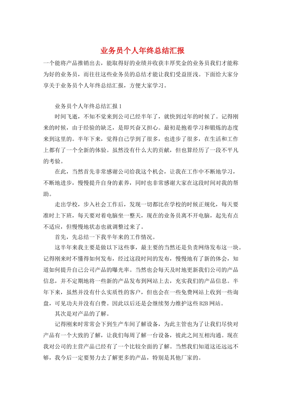 业务员个人年终总结汇报_第1页
