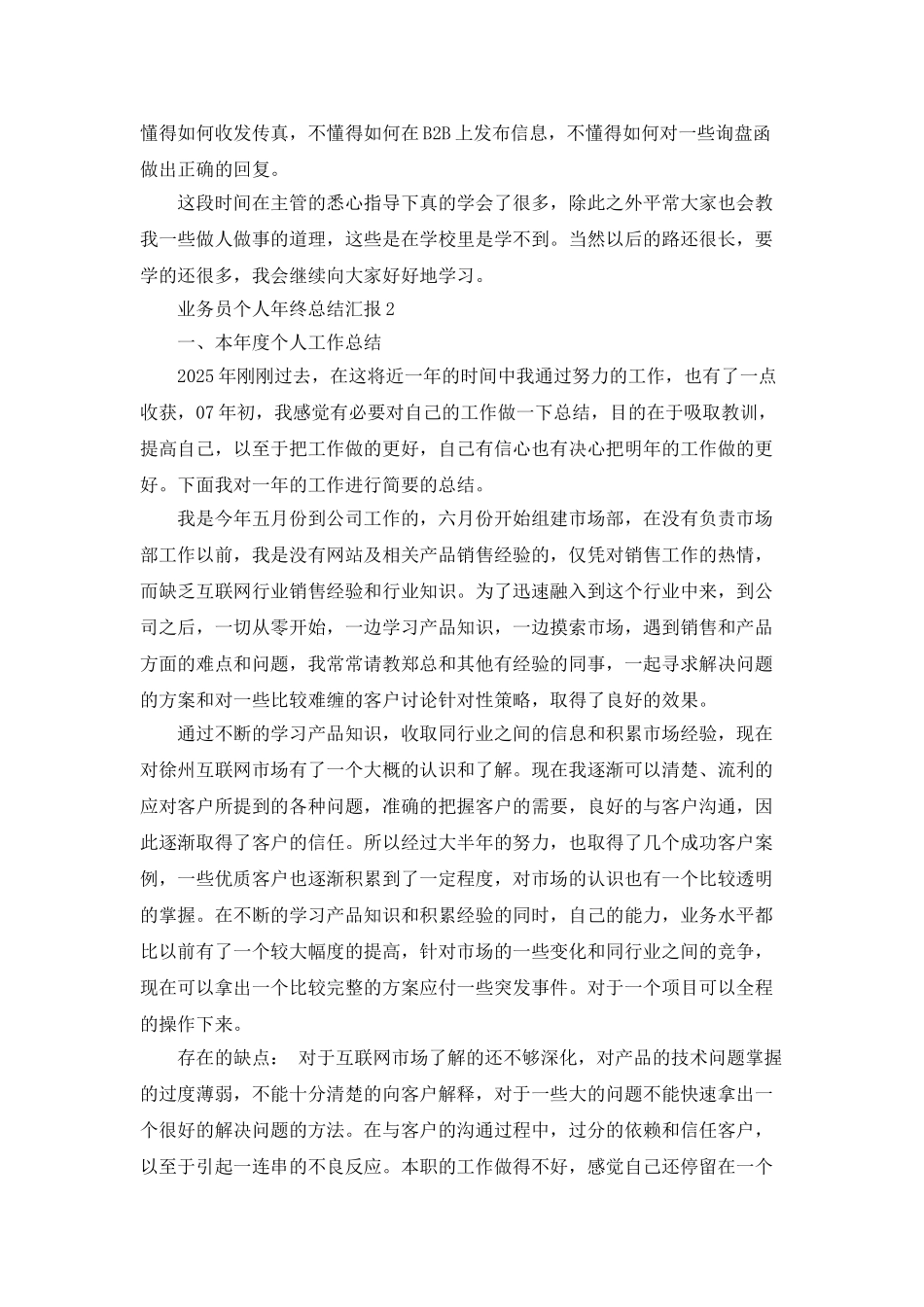 业务员个人年终总结汇报_第3页