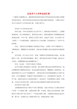 业务员个人年终总结汇报