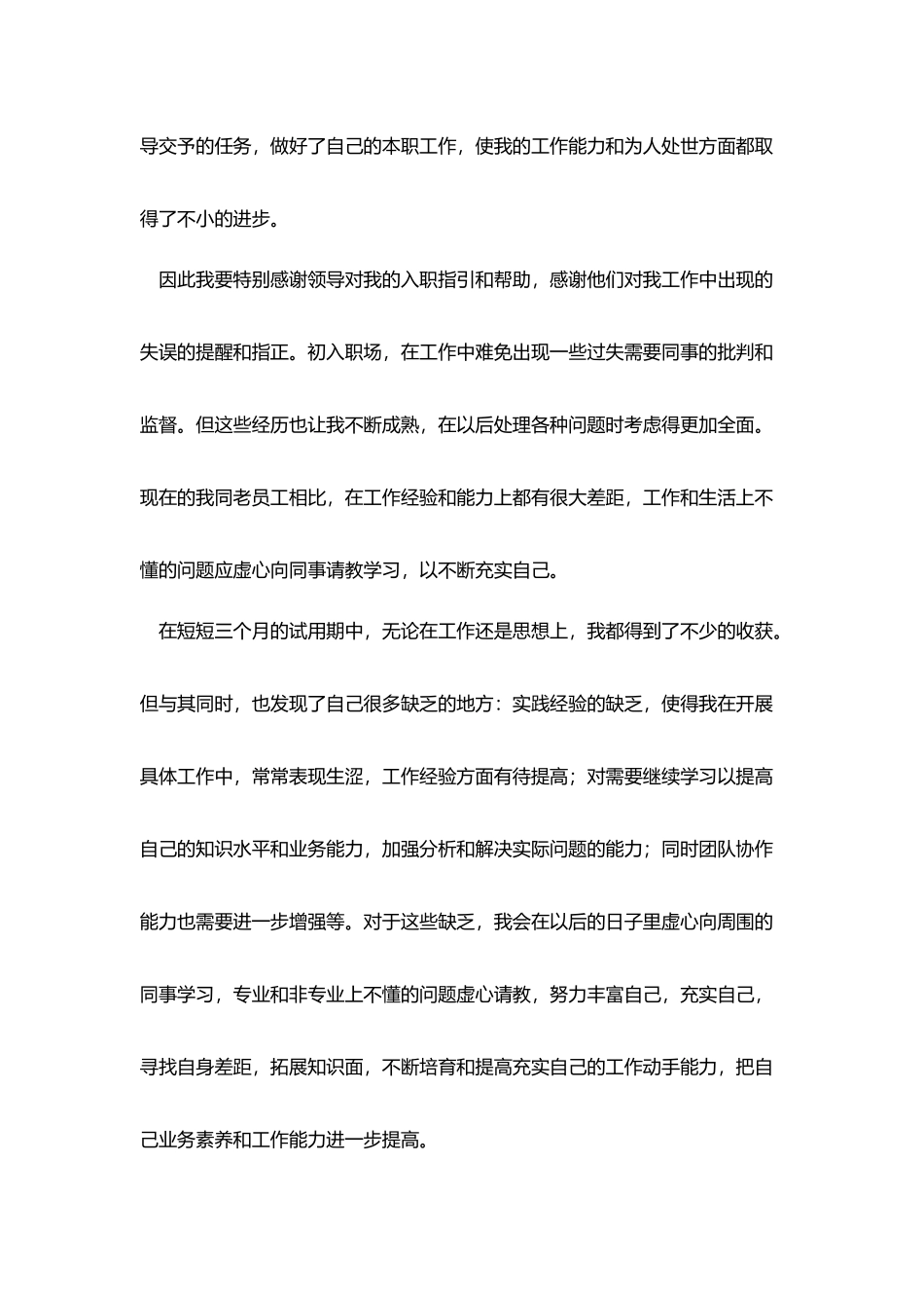 业务员个人试用期转正工作总结_第2页