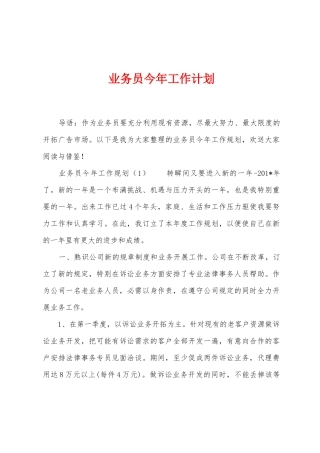 业务员今年工作计划