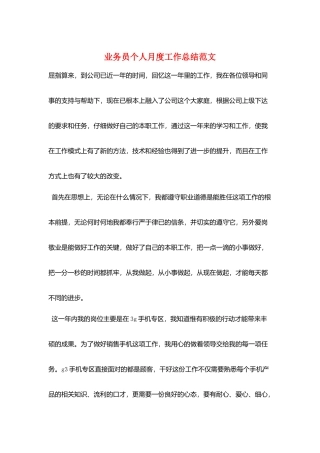 业务员个人月度工作总结范文