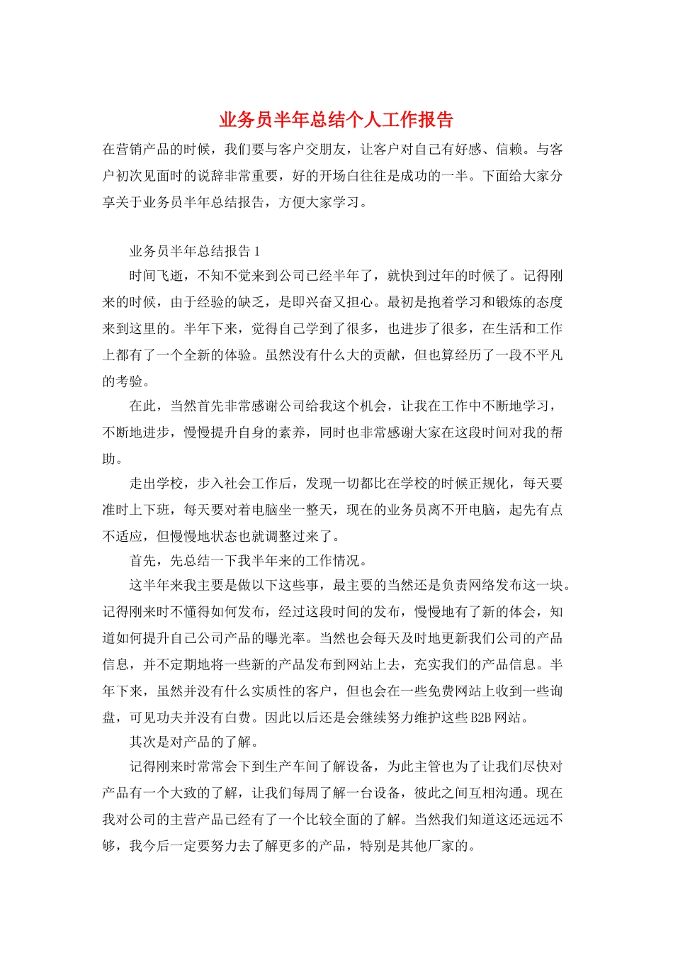 业务员半年总结个人工作报告_第1页