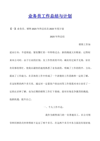 业务员工作总结与计划