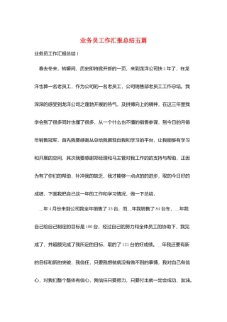 业务员工作汇报总结五篇