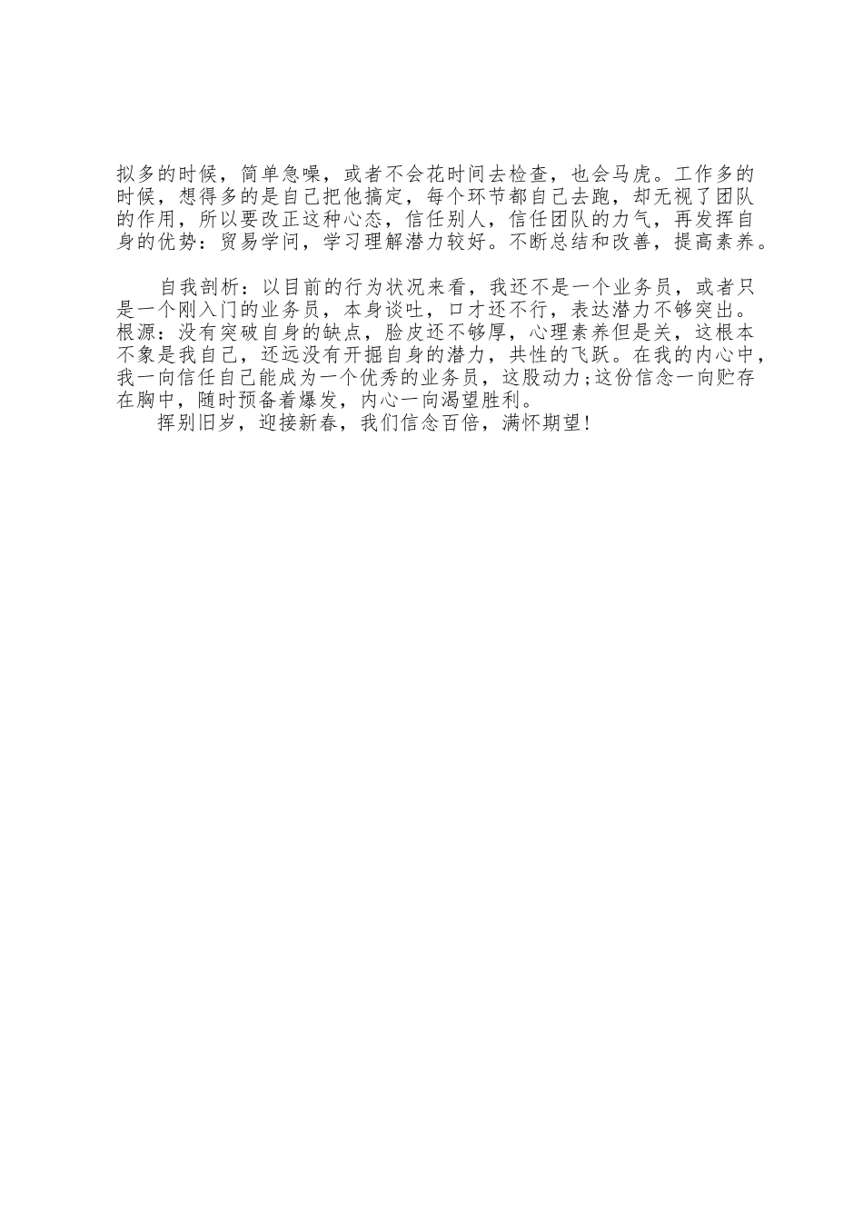 业务员年度工作总结_第3页