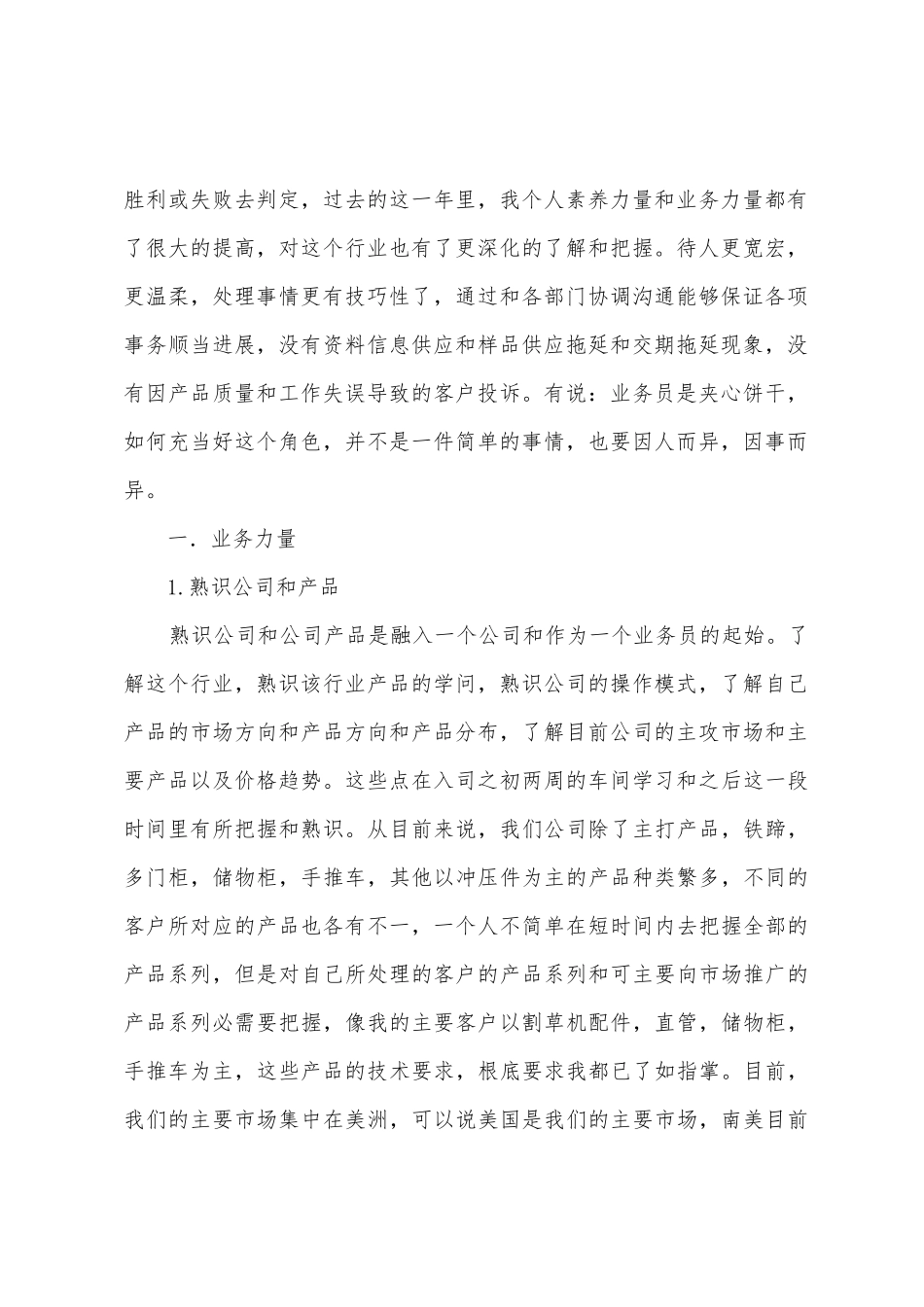 业务员年工作总结格式_第2页